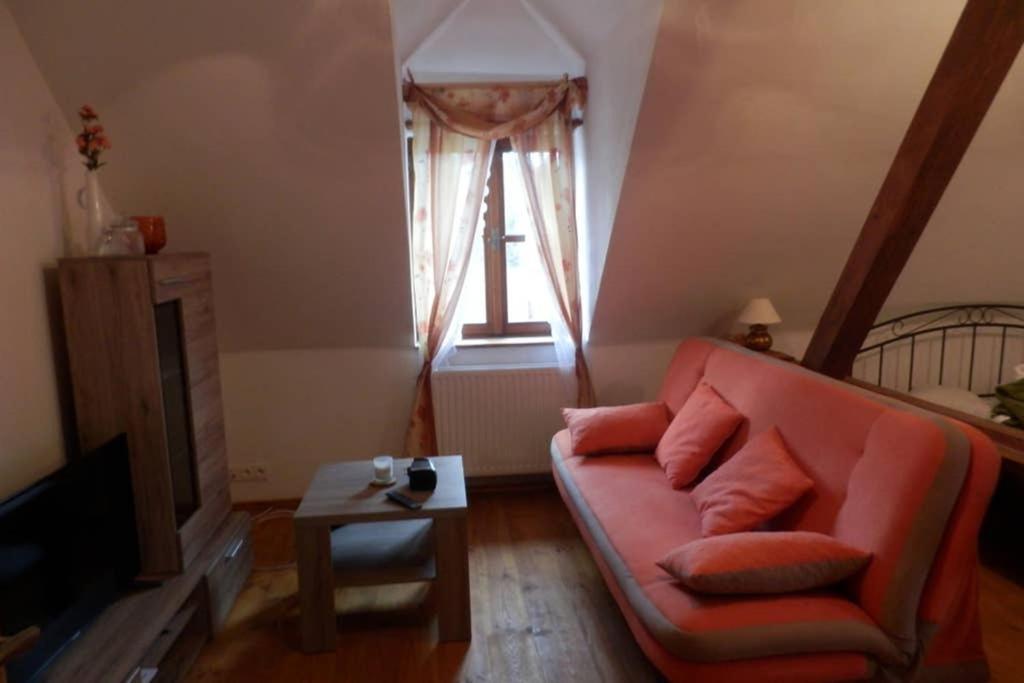 Zamecek Zdiky - Moderni Velky Apartman Bujanov Luaran gambar